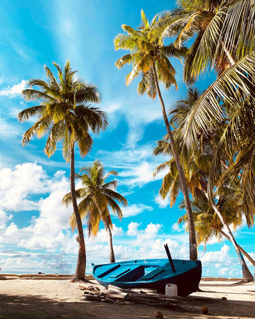 Blue Boat In Paradise