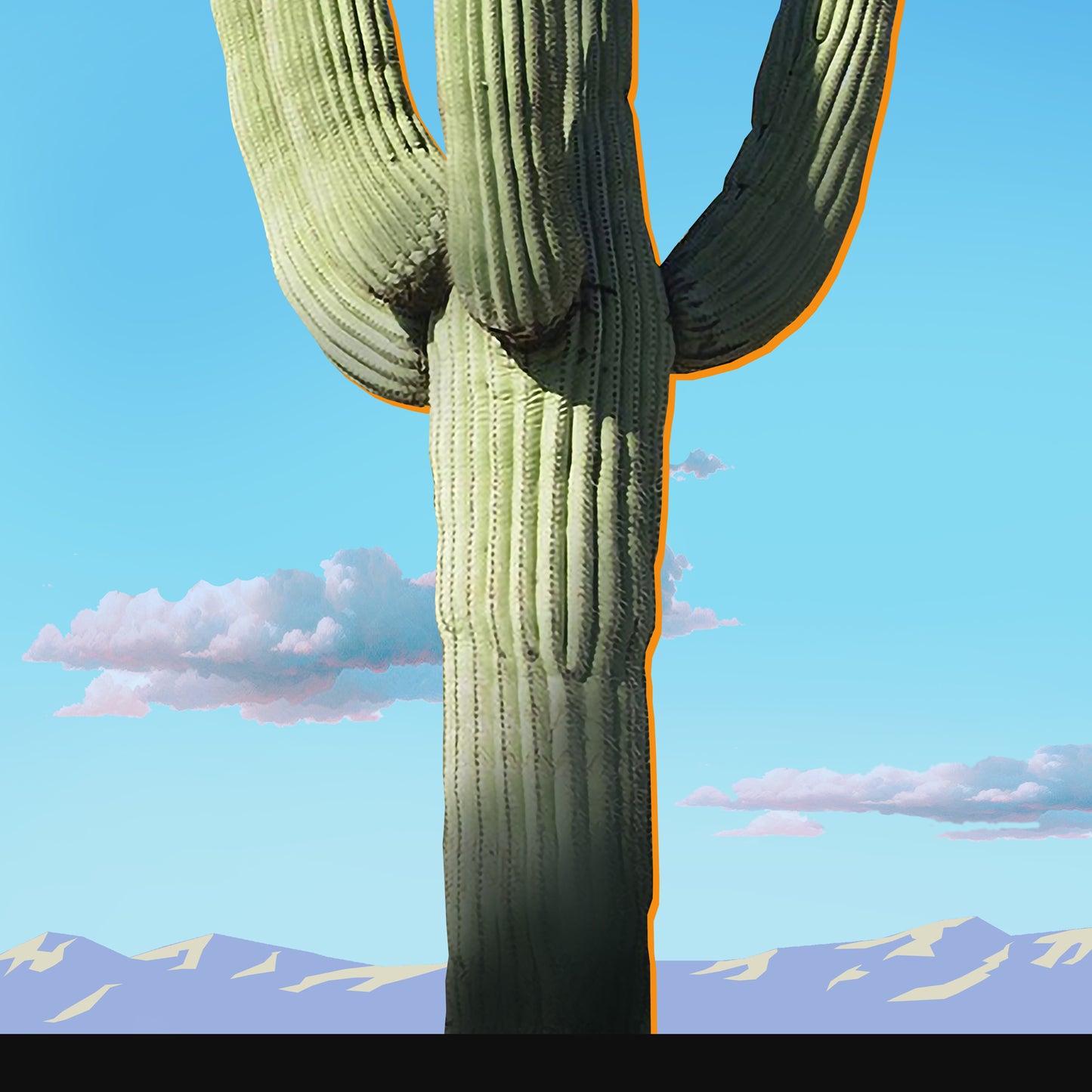 Cactus Sky