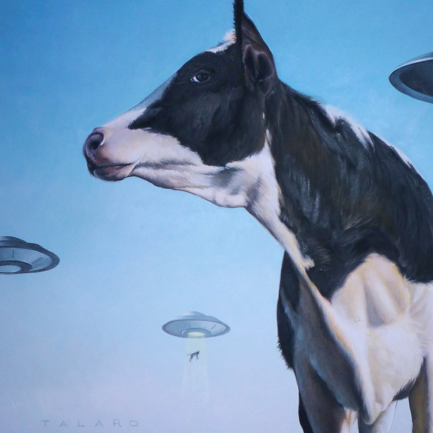 Close Encounters of The Moo Kind