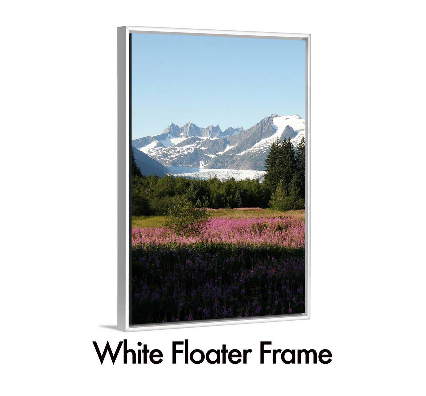 Fields of Flowers and Ice