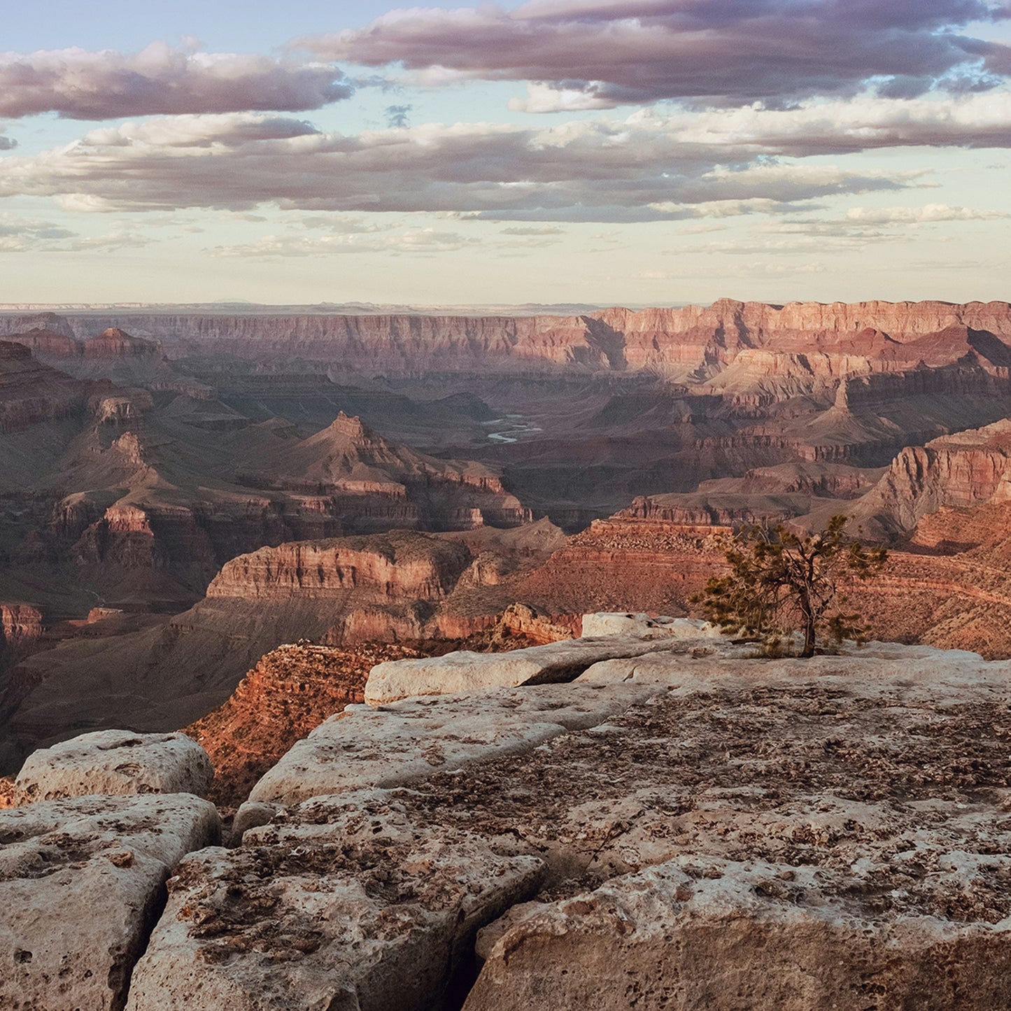 Grand Canyon 2