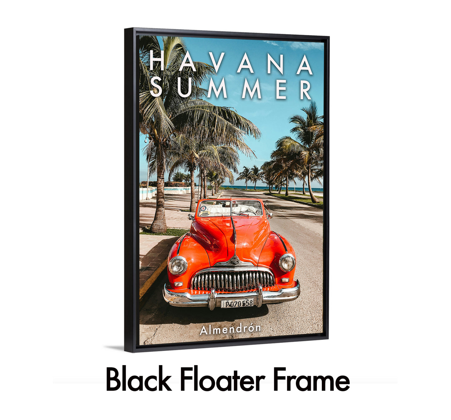 Havana Summer 1
