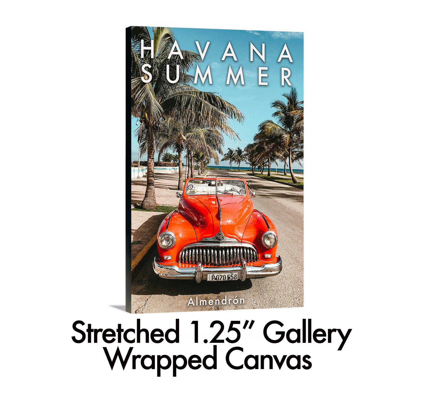 Havana Summer 1