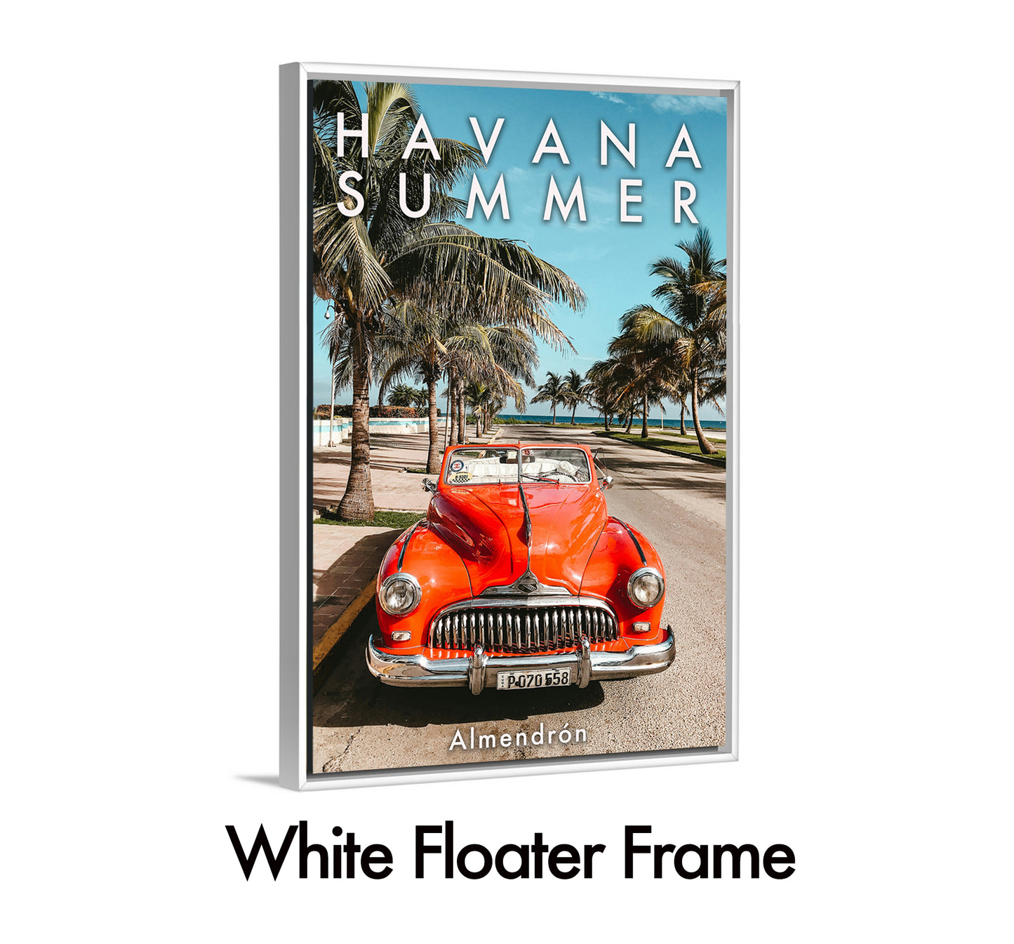 Havana Summer 1