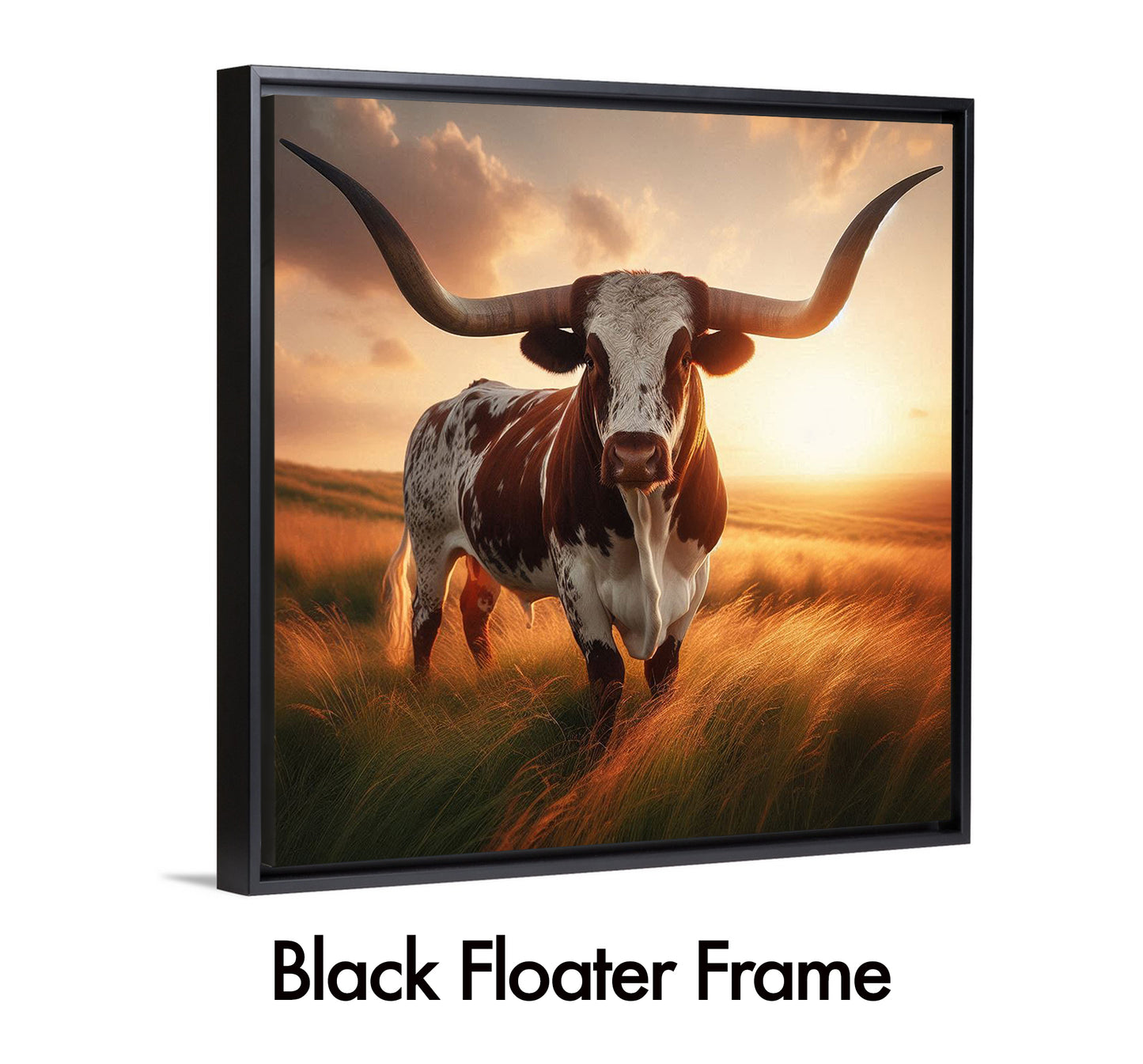 Longhorn Sunset