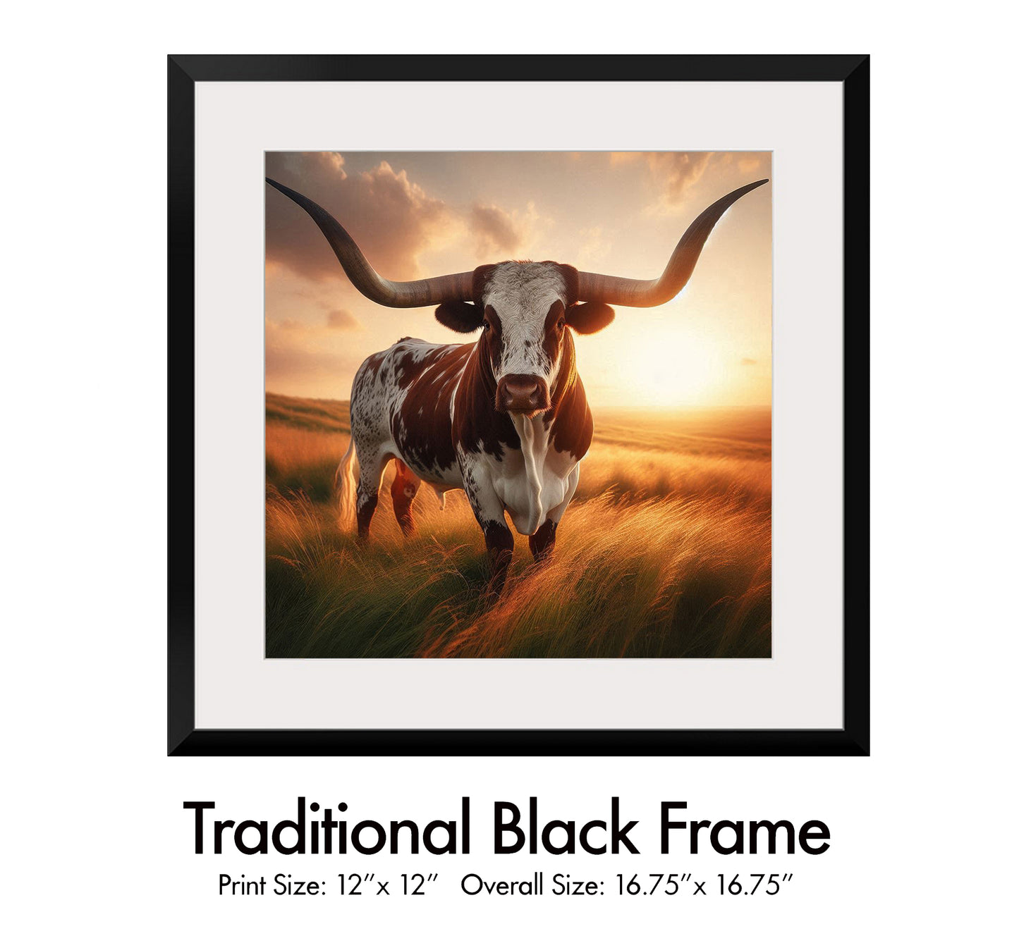 Longhorn Sunset