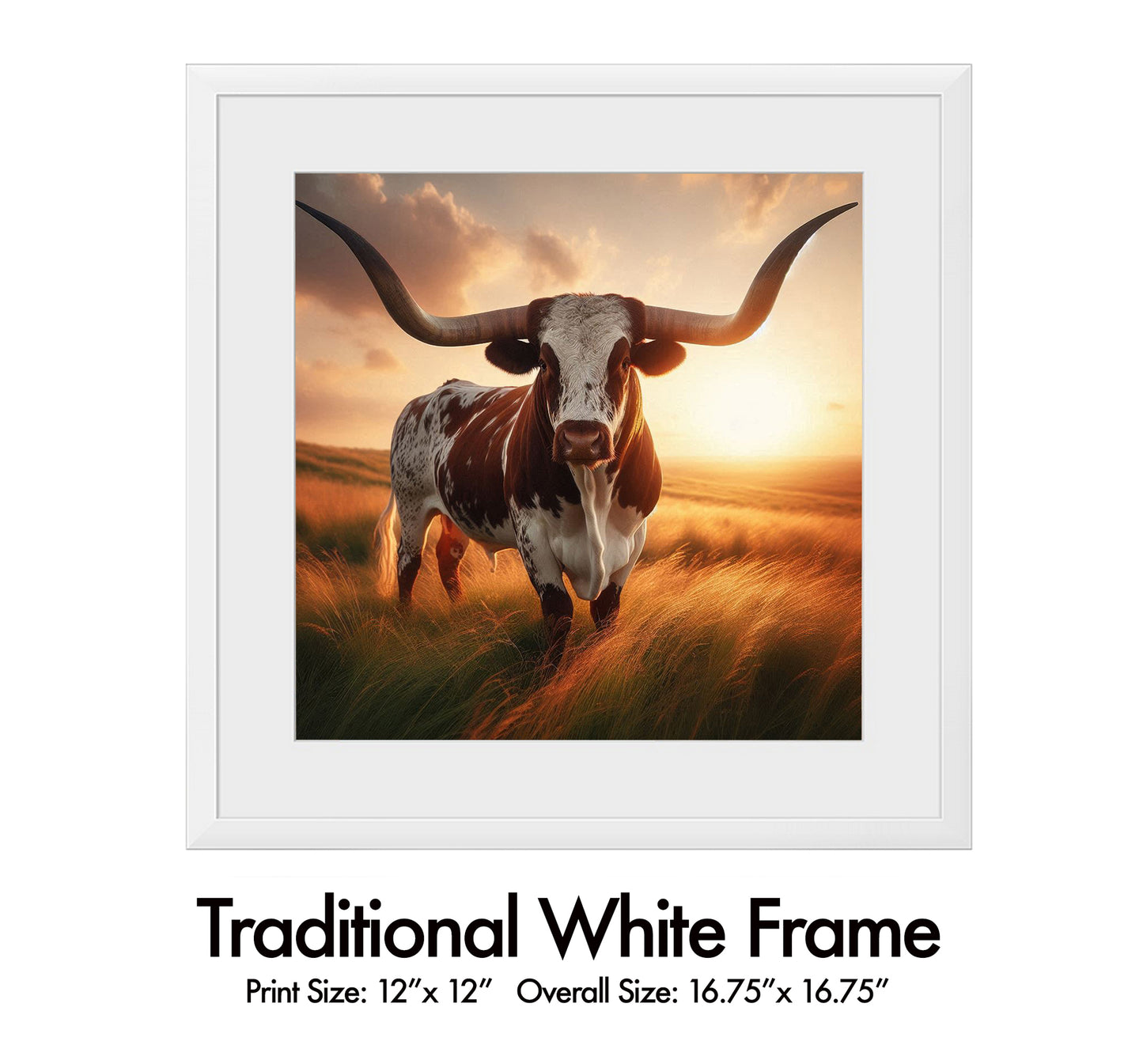 Longhorn Sunset