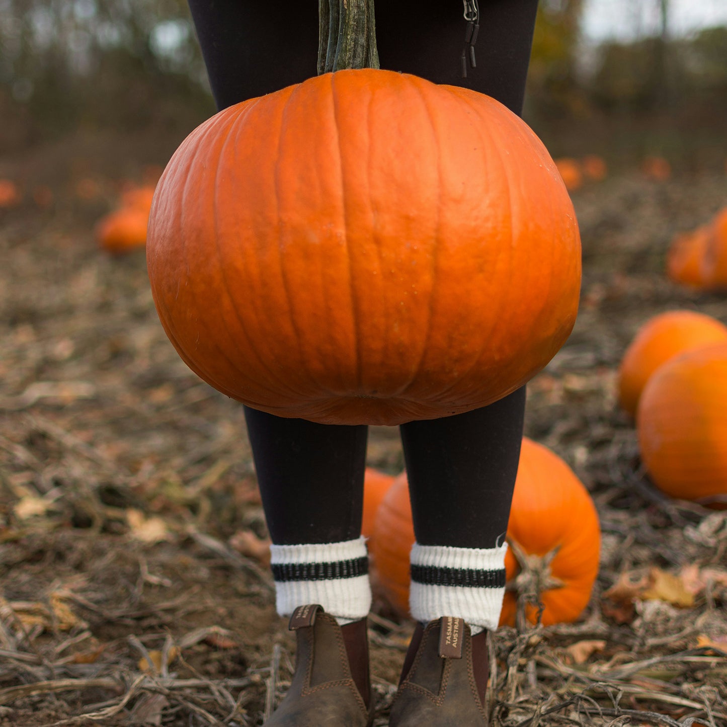 I Love My Pumpkin