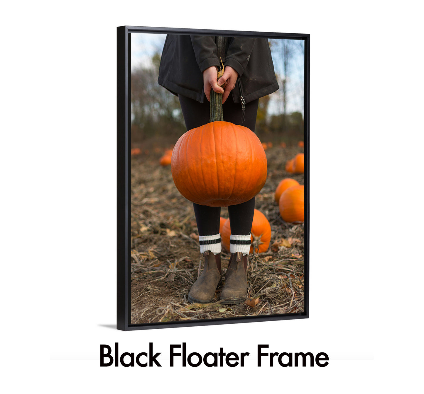 I Love My Pumpkin