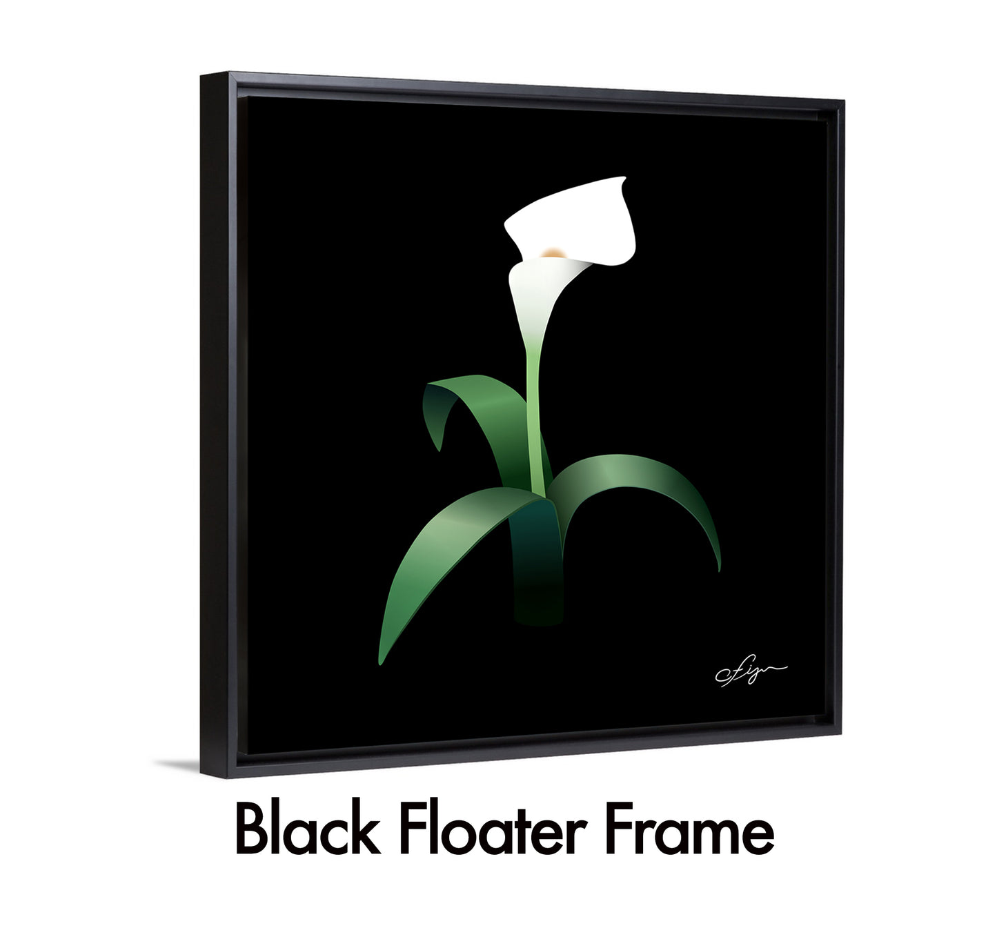 Plant Life 4