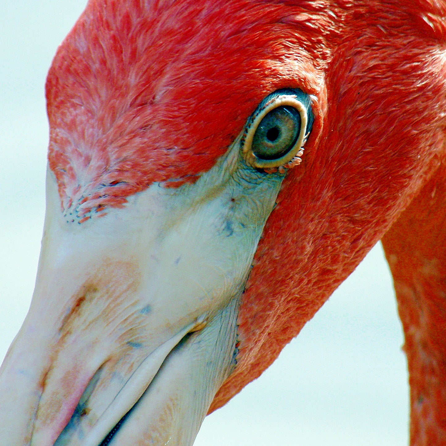 Ready For My Close Up