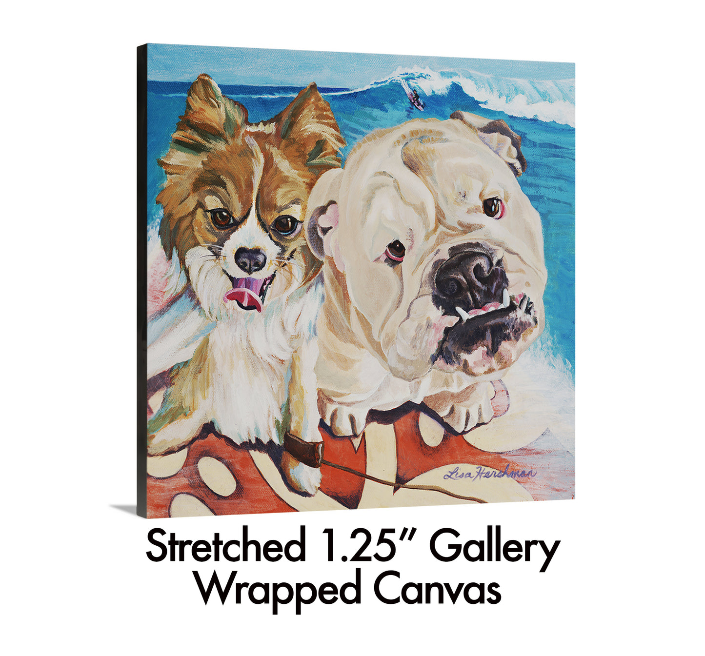 SurfDogs Selfie