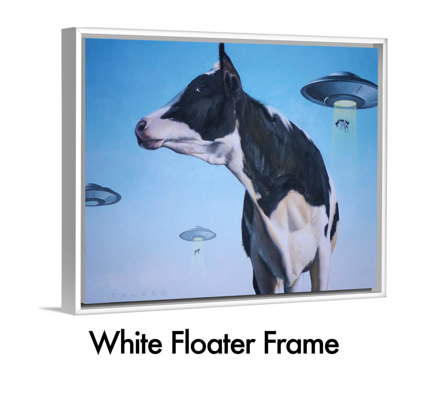 Close Encounters of The Moo Kind