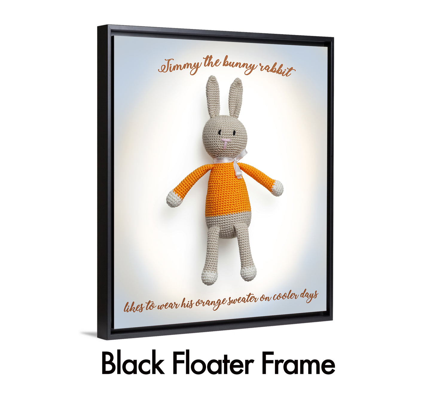 Timmy The Bunny Rabbit