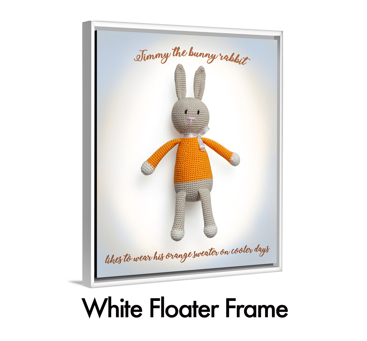 Timmy The Bunny Rabbit
