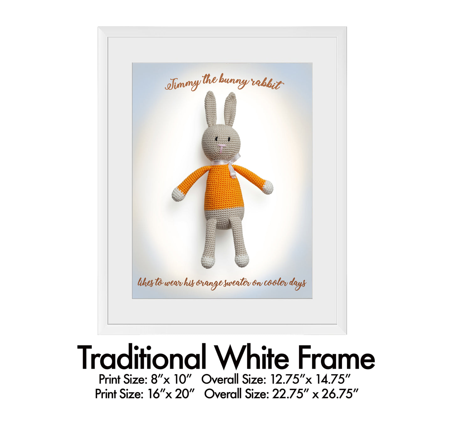 Timmy The Bunny Rabbit