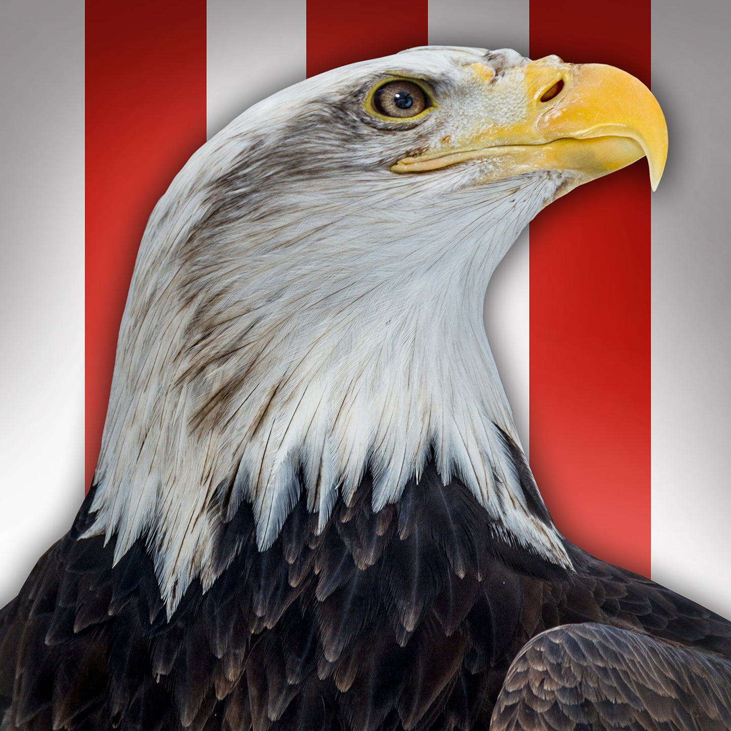 United We Stand