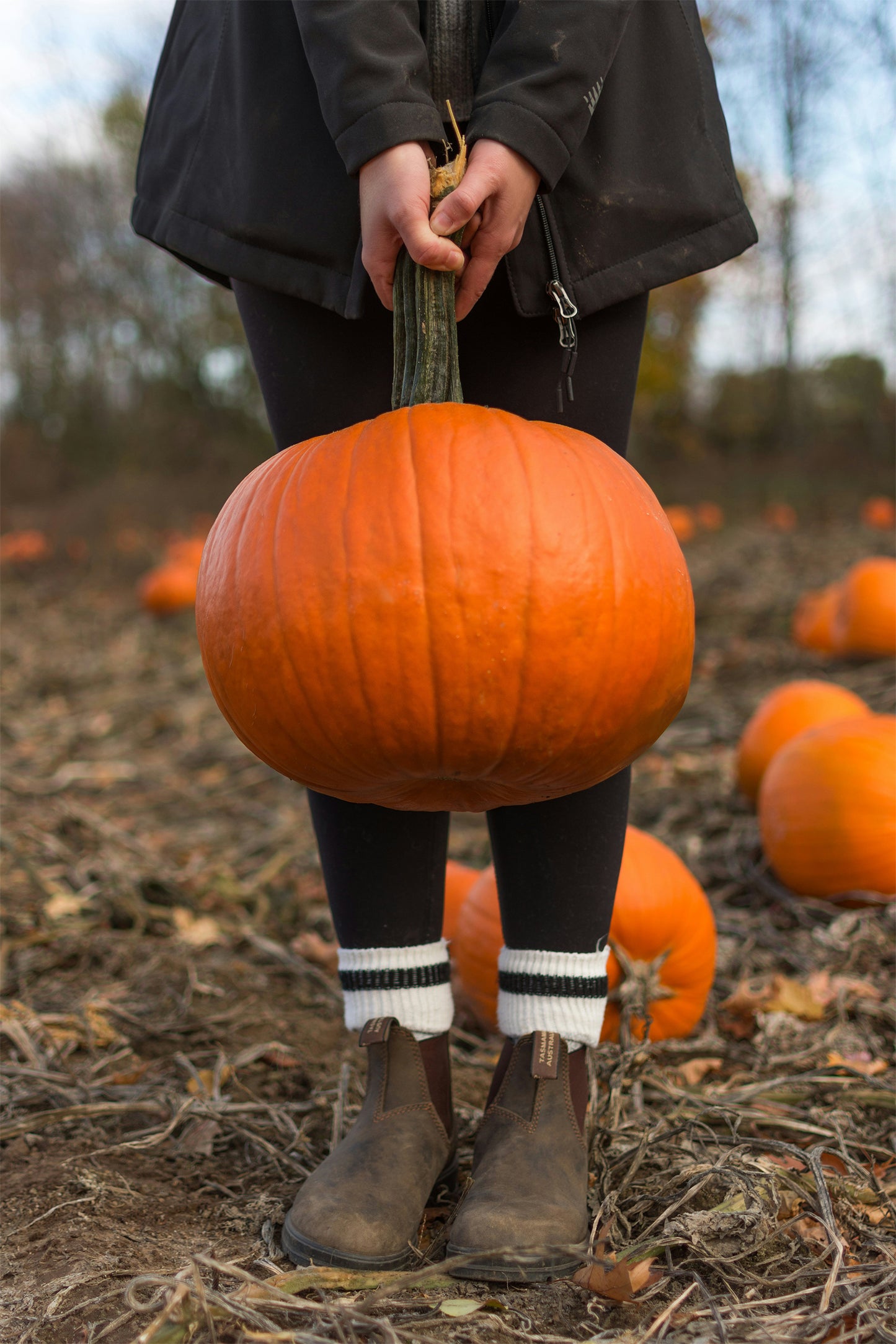 I Love My Pumpkin