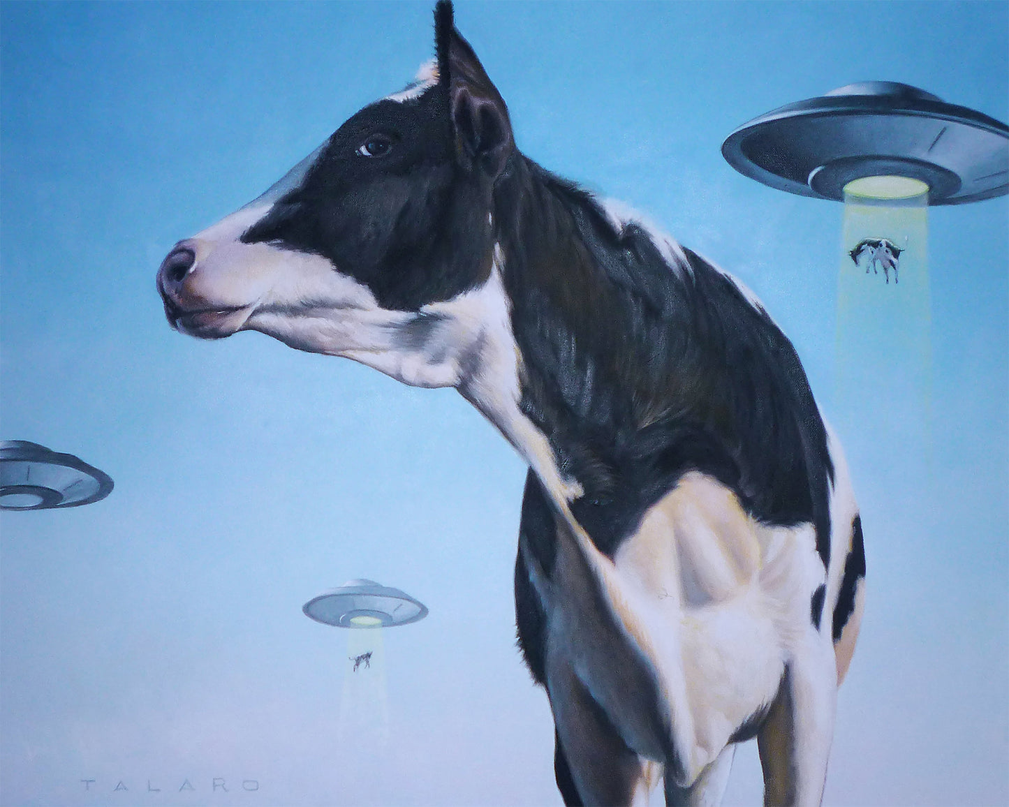 Close Encounters of The Moo Kind