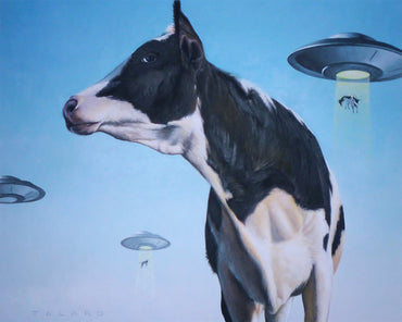 Close Encounters of The Moo Kind