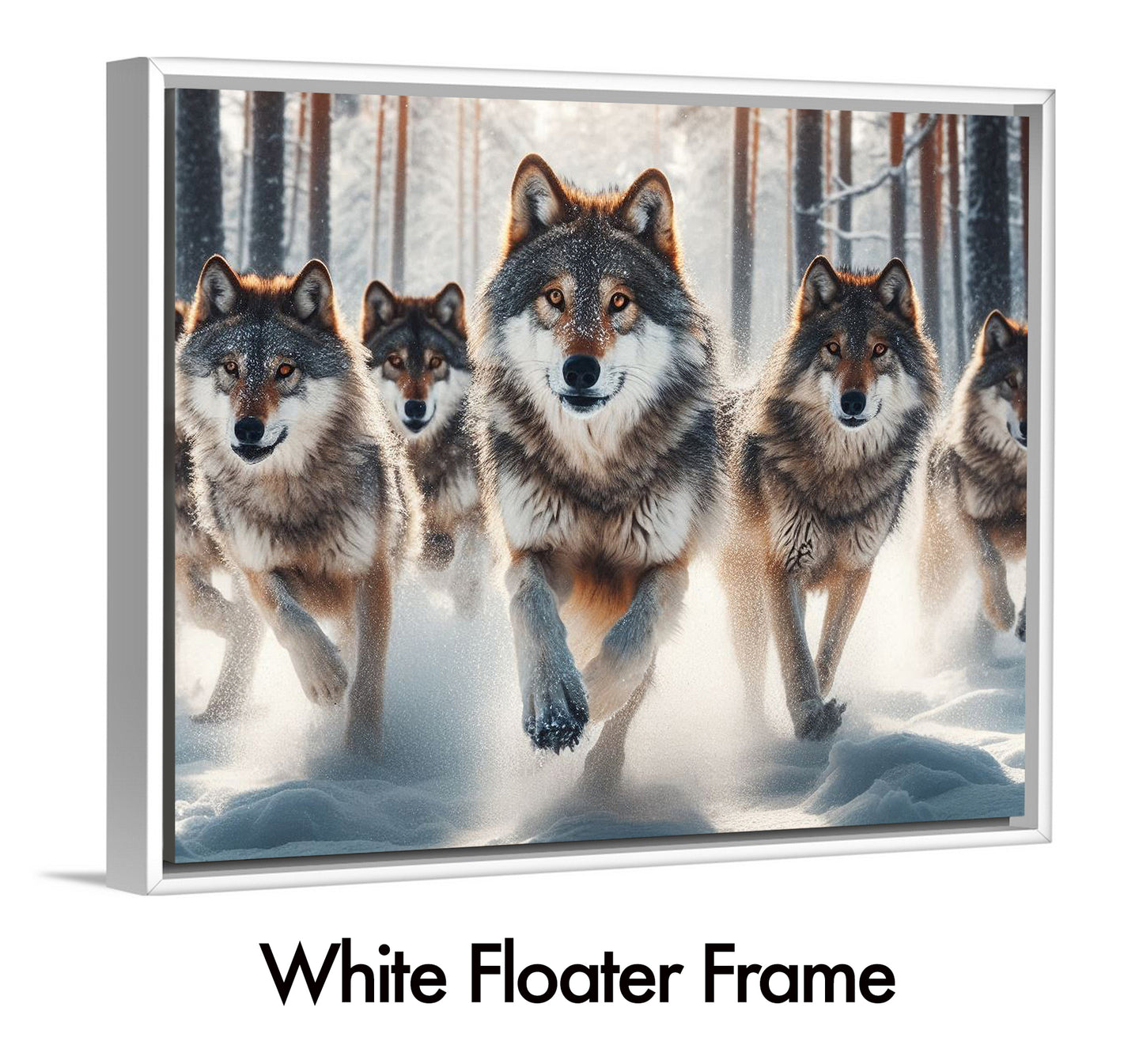 Running with The Wolf Pack