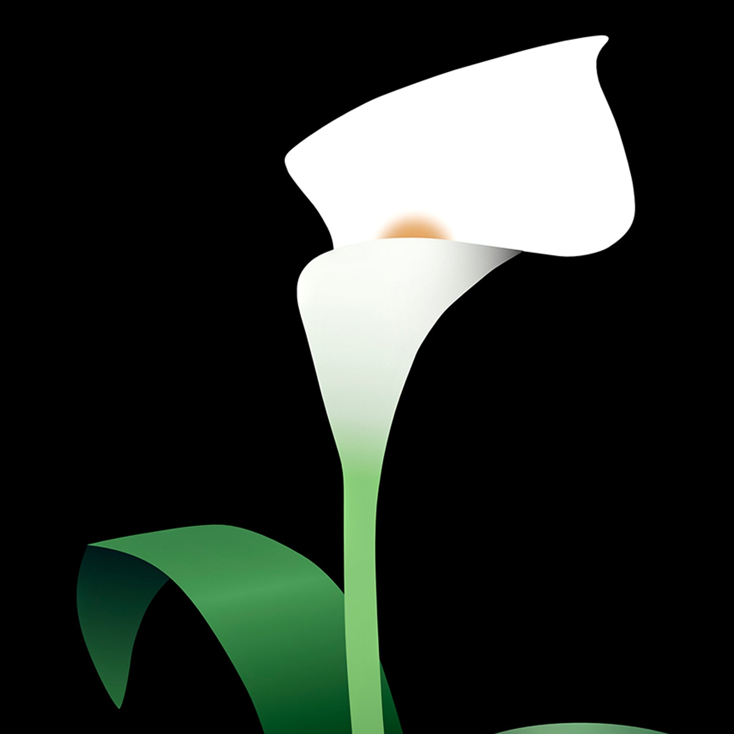 Plant Life 4