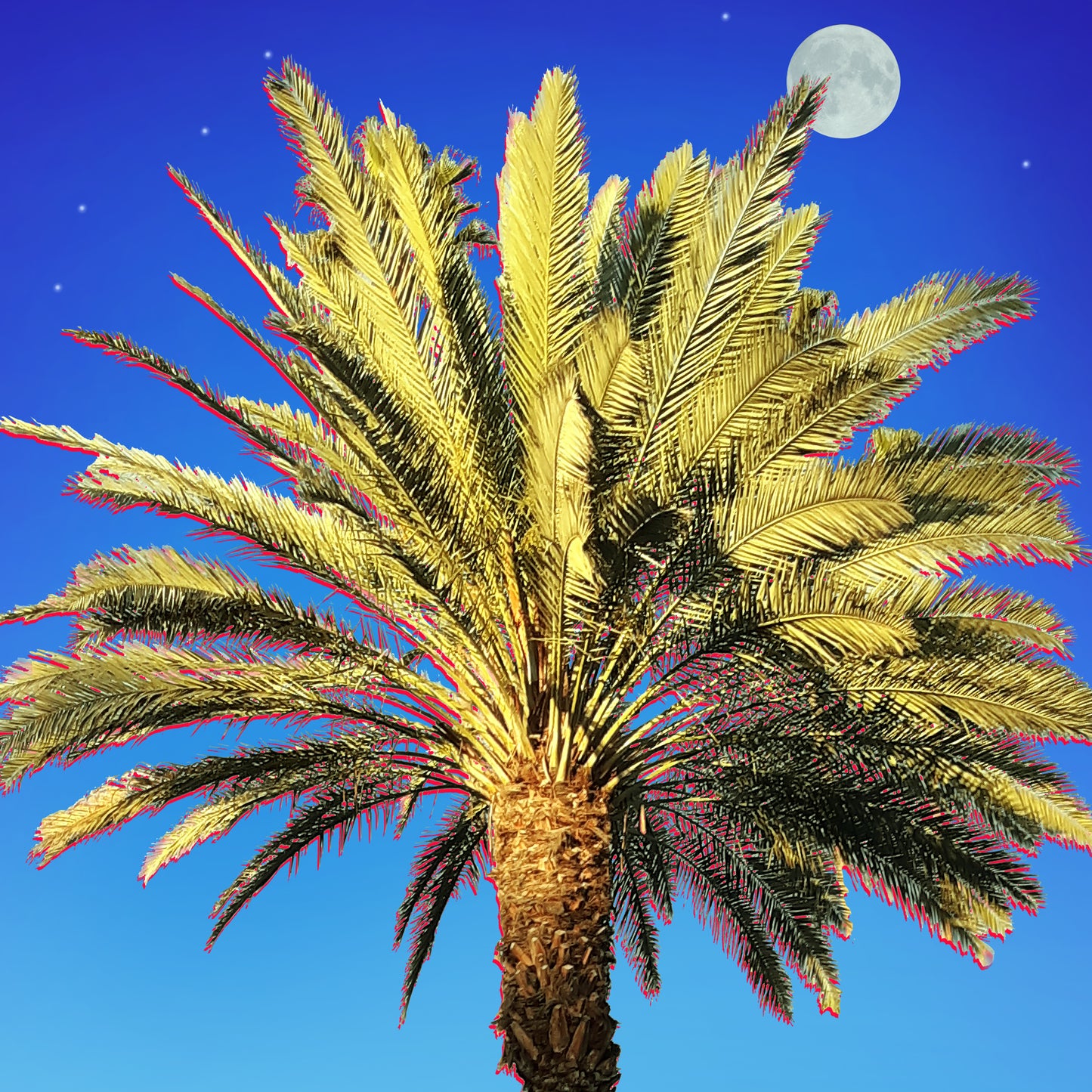 Palm Beach