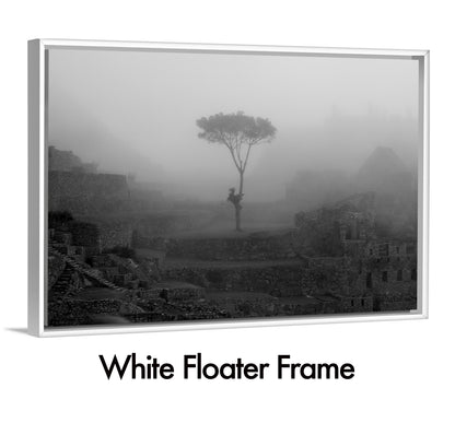 Ghost of The Cloud Forest