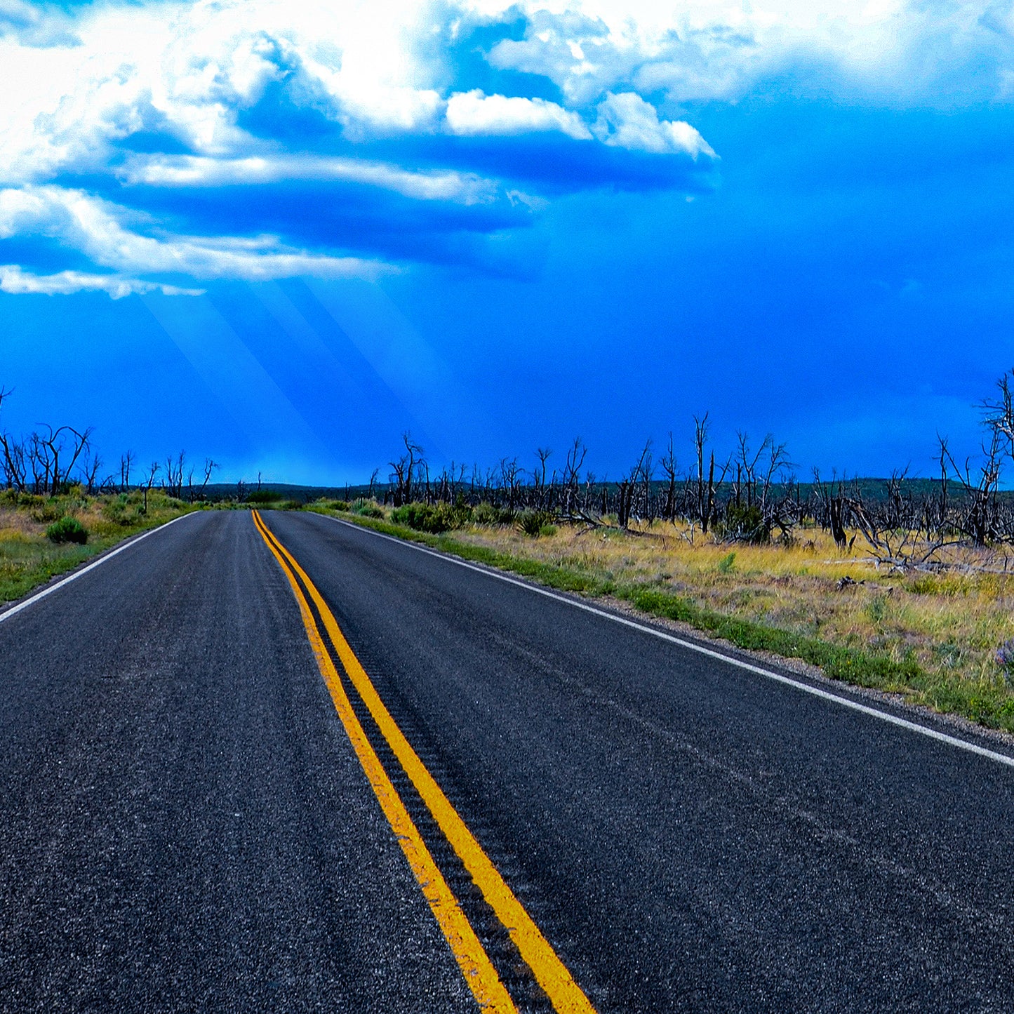 A Road Once Traveled
