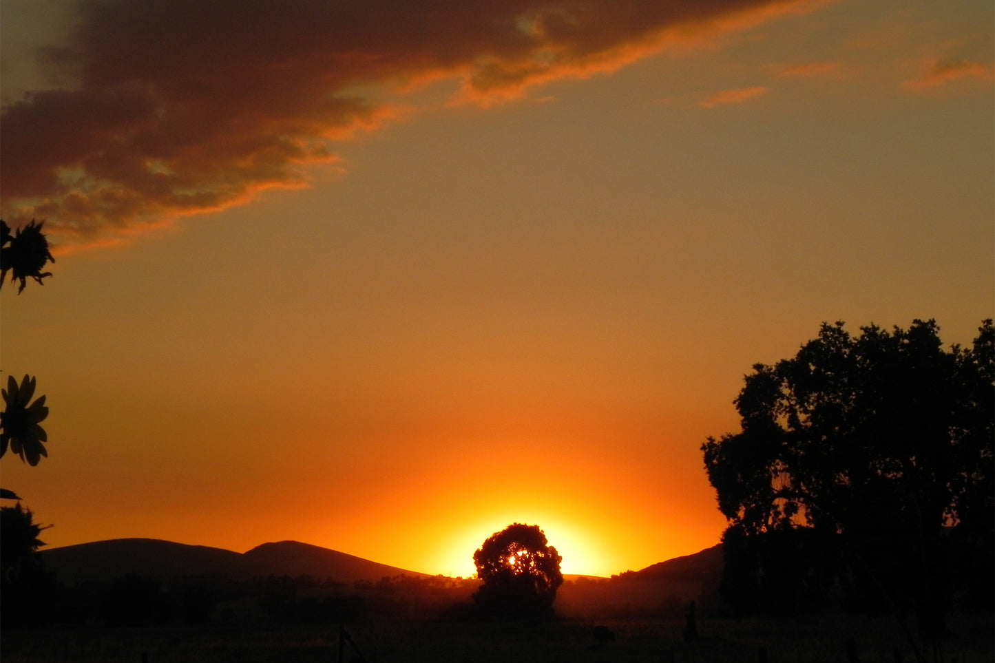 The Burning Bush
