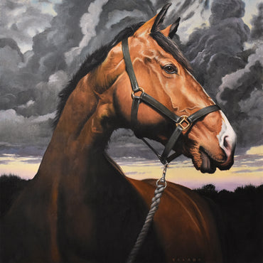 Riding The Storm